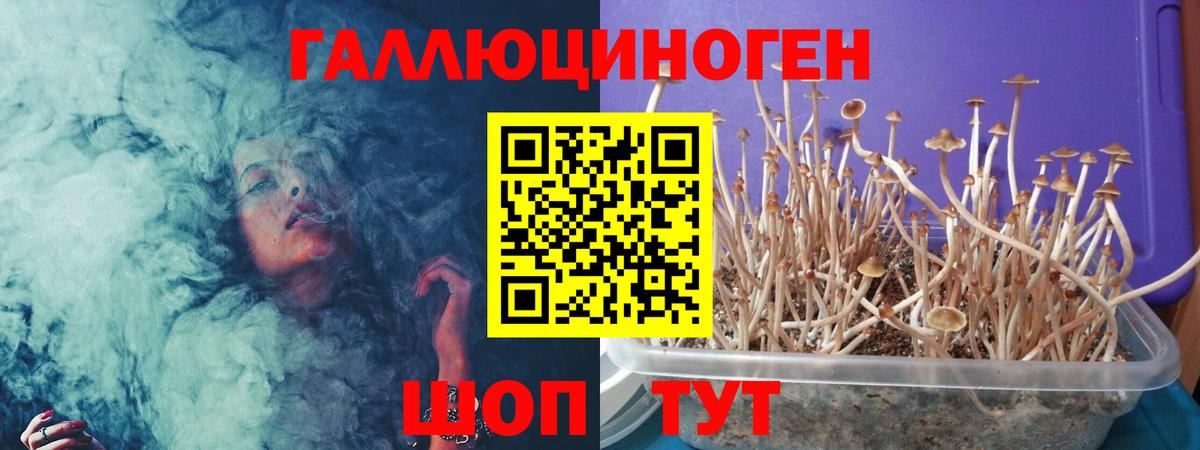 Галлюциногенные грибы мухоморы Александров